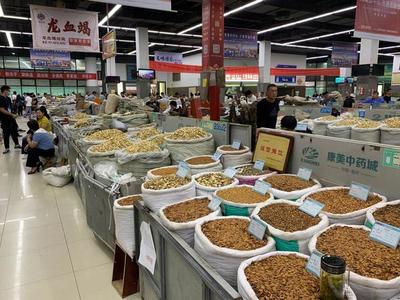 中部崛起勢正勁 安徽亳州如何“抓一把中藥，服下一帖驕傲”？——從傳統藥都到現代商品批發貿易中心的轉型之路